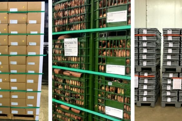 Packaging capacity collage