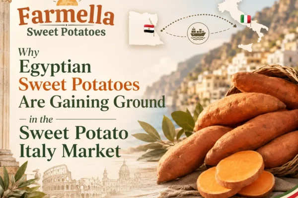 Farmella visual for the sweet potato Italy market featuring Egyptian sweet potatoes, Egypt and Italy maps, national flags, a shipping route, and Italian coastal landmarks.