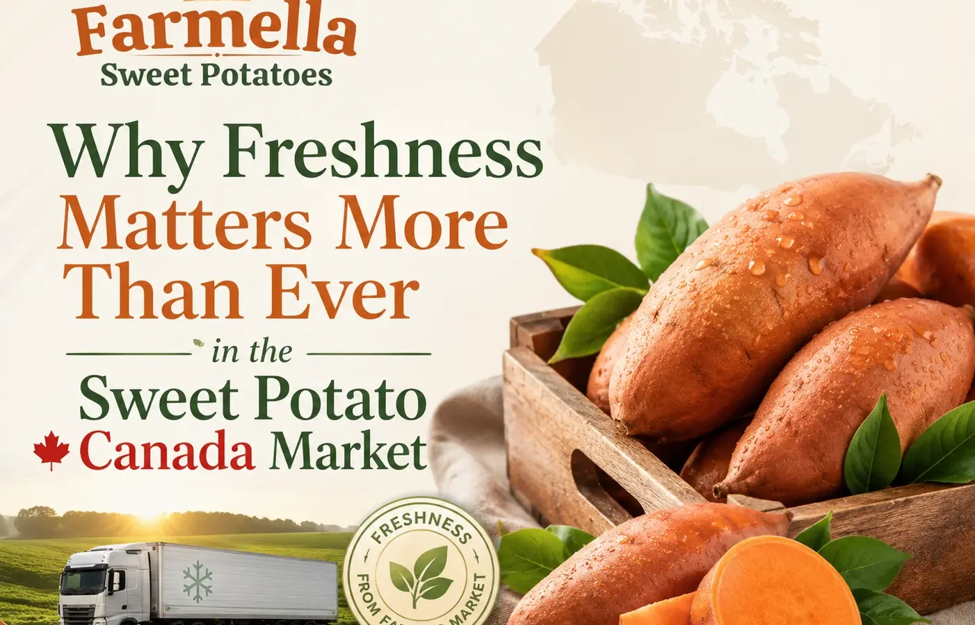 Farmella visual for the sweet potato Canada market featuring fresh sweet potatoes, a refrigerated truck, farmland, a Canada map, and a freshness-from-farm-to-market symbol.