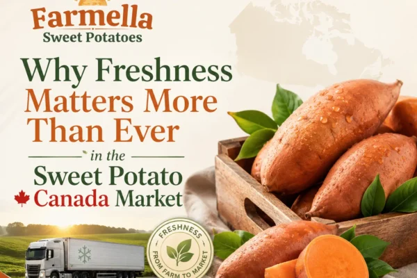 Farmella visual for the sweet potato Canada market featuring fresh sweet potatoes, a refrigerated truck, farmland, a Canada map, and a freshness-from-farm-to-market symbol.
