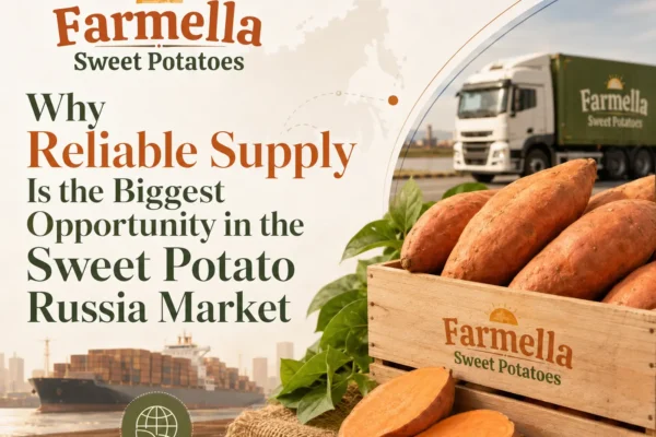 Farmella visual for the sweet potato Russia market featuring fresh sweet potatoes, export crates, a cargo ship, a freight truck, and a Russia map representing dependable international supply.