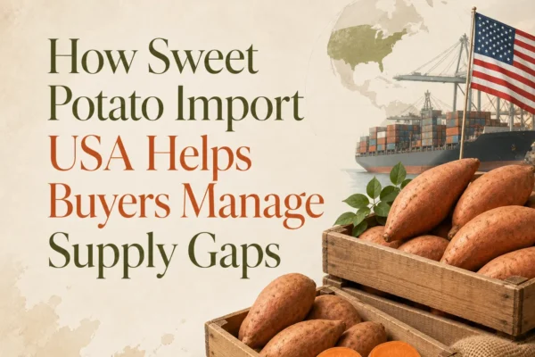 Sweet potato import USA with fresh sweet potatoes prepared for international shipping and the US market
